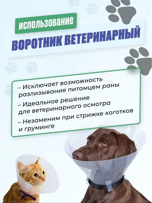 Храброе Сердце Ветеринарный воротник для животных Для ветклиник 5 шт, 5 шт, фото 4