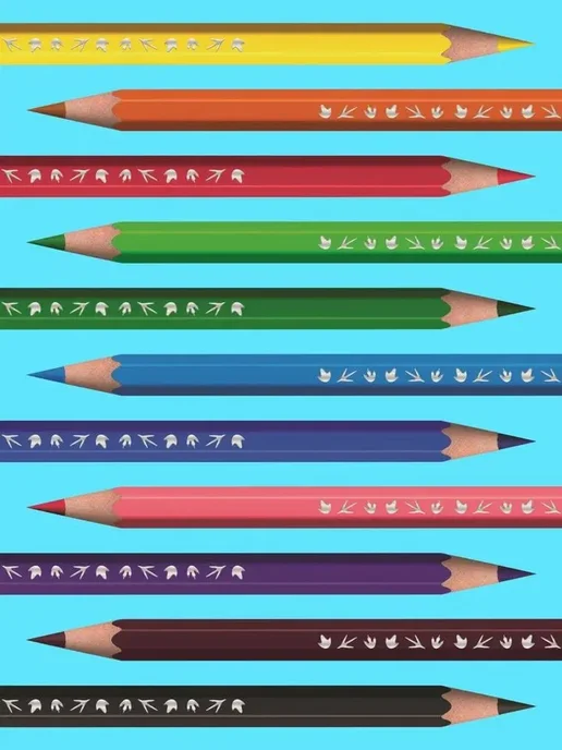 BIC Карандаши цветные пластиковые шестигранные 12 цветов, 12 цв., фото 7