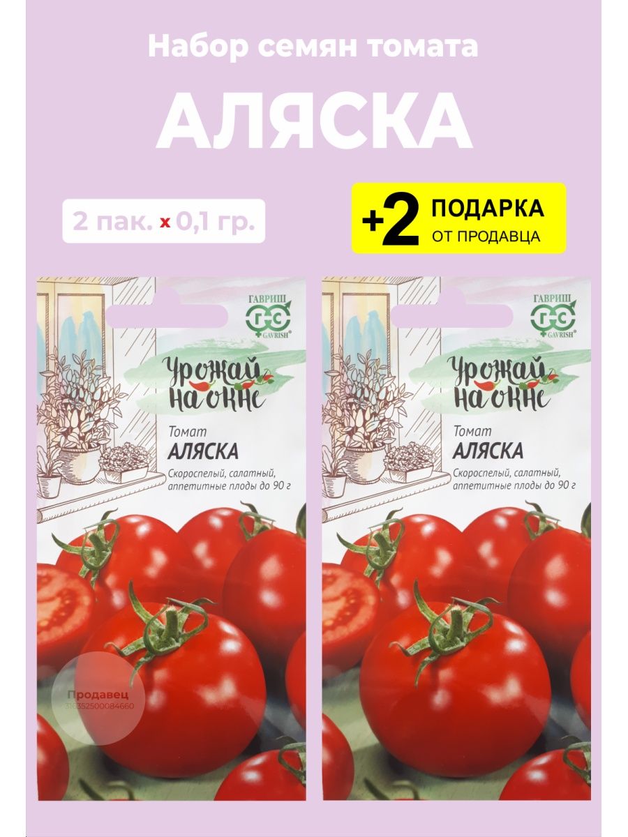 Сорт томата аляска. Томат Аляска. Томат Аляска характеристика. Аляска помидоры описание.