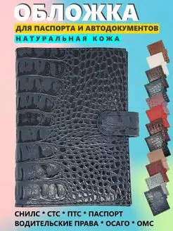 Обложка для паспорта и автодокументов Victoria Invincible 90041884 купить за 537 ₽ в интернет-магазине Wildberries