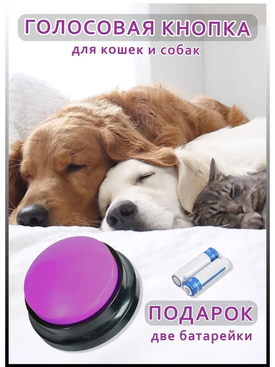 Звуковая кнопка кликер для собак и кошек MaguireStore 90103708 купить за  449 ₽ в интернет-магазине Wildberries