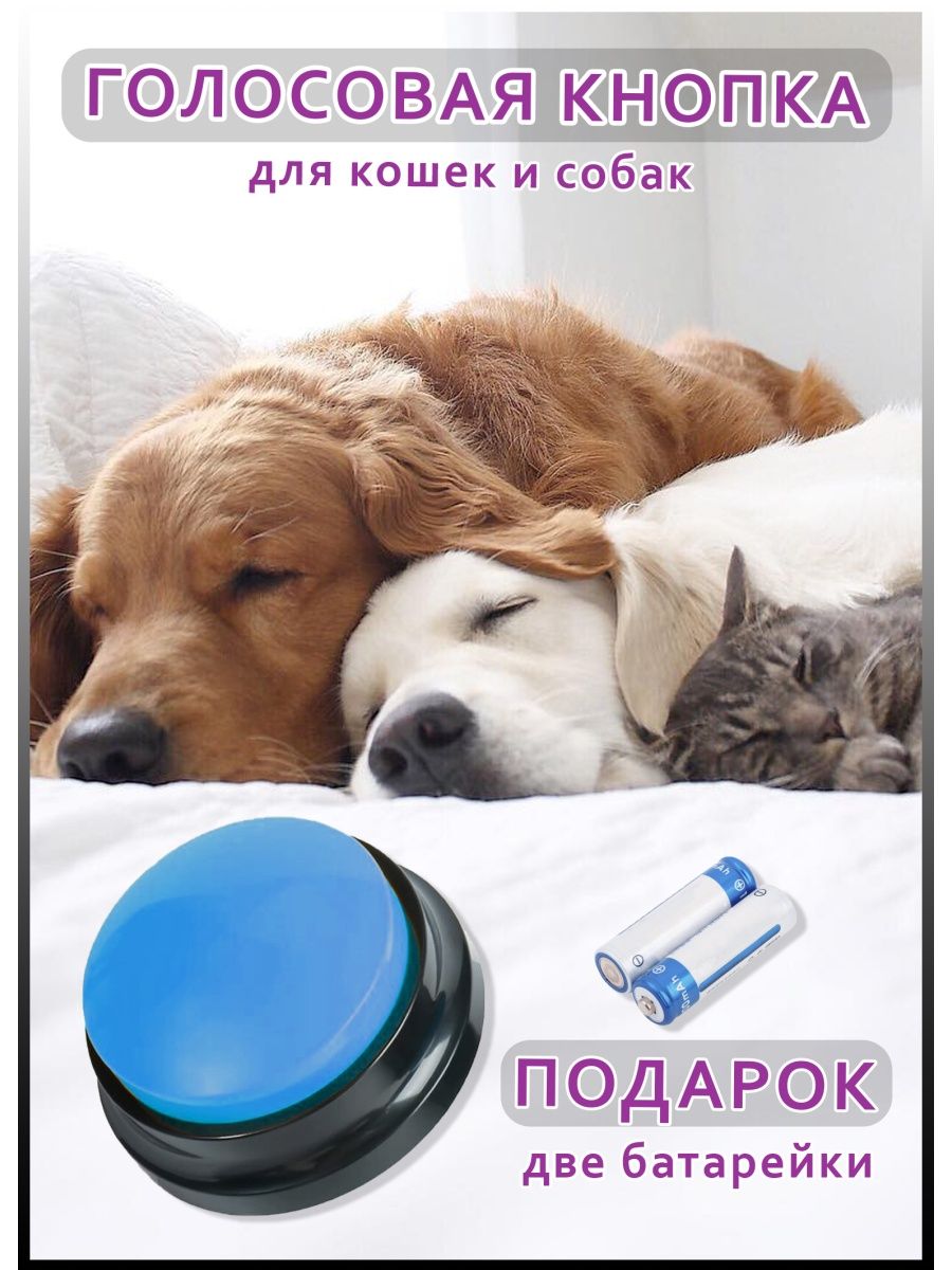 Звуковая кнопка кликер для собак и кошек MaguireStore 90103709 купить за  438 ₽ в интернет-магазине Wildberries