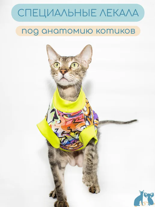 Элегантный Хвост Одежда для кошек и котов, футболка для сфинкса, зеленый, фото 3