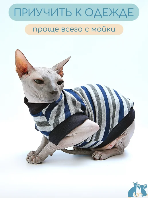 Элегантный Хвост Одежда для кошек и котов, футболка для сфинкса, серый, фото 4