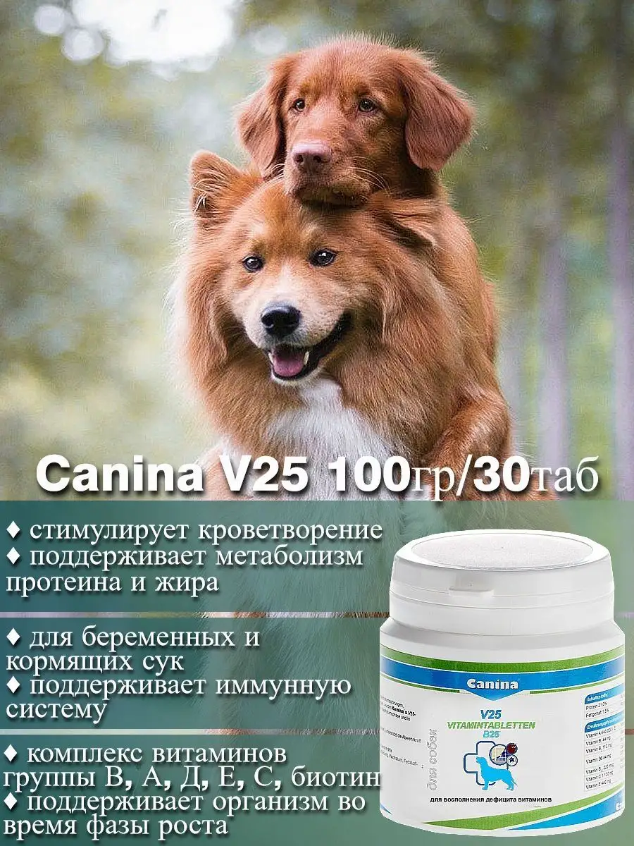 Canina pharma GmbH Комплекс для иммунной системы собак V25 Vitamintab 30  таб.