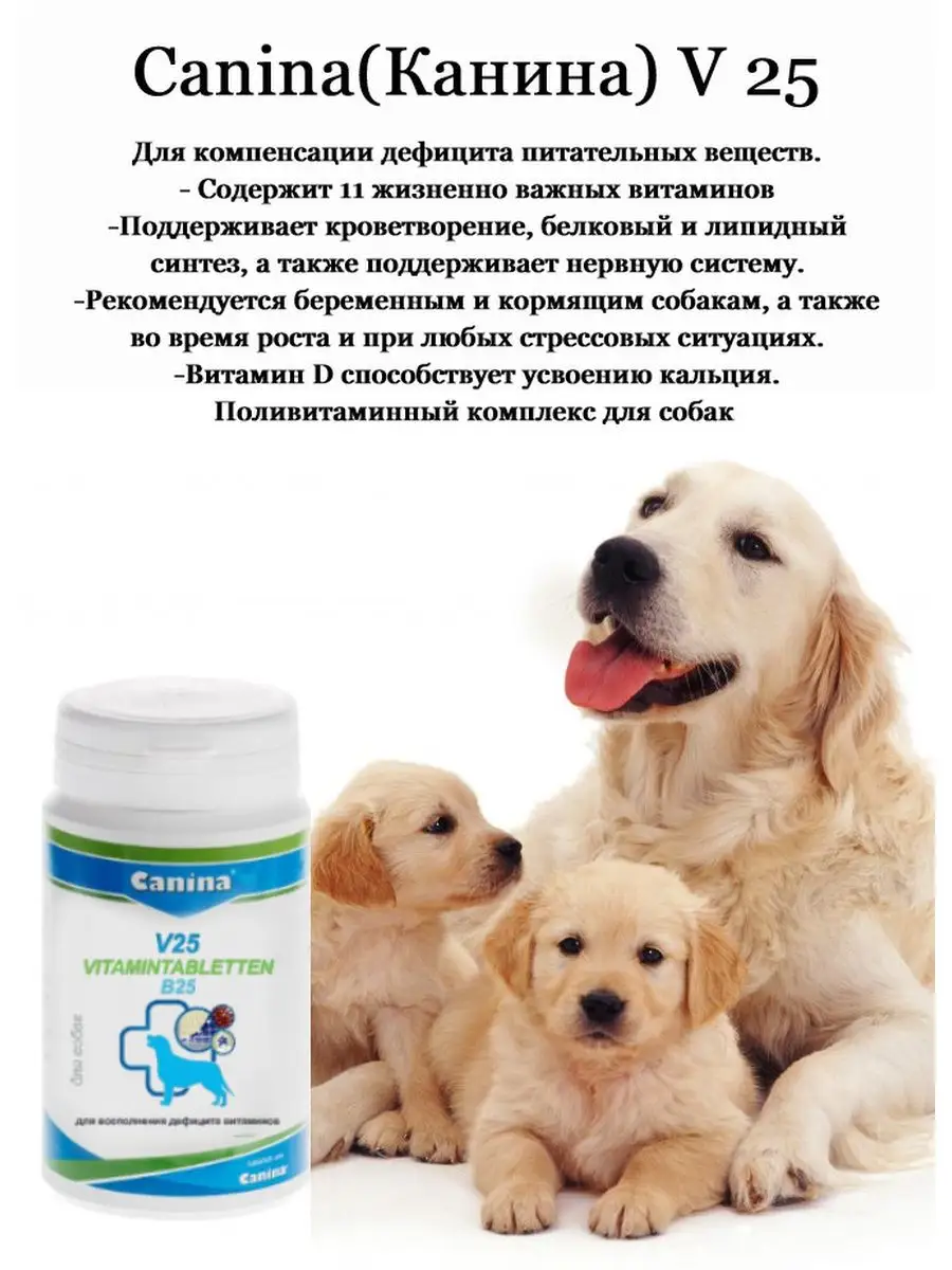 Питание и витамины для беременных и кормящих собак и кошек