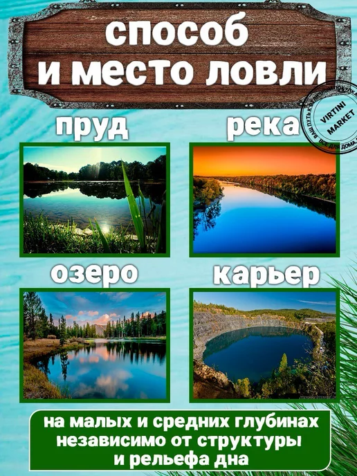VIRTINI MARKET Кормушка рыболовная фидерная 2 шт + подарок, 2 шт, фото 3