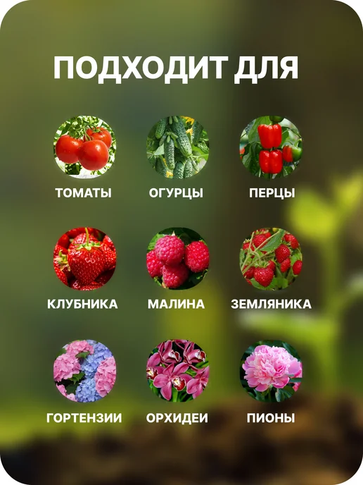 Богатырь Грунт для томатов, перца и баклажанов, 20 л, 5 л, фото 4