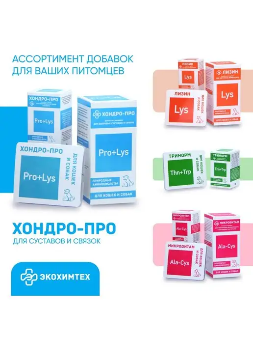 Экохимтех Добавка для суставов и связок Хондро-про 10 штук, вариант, фото 6