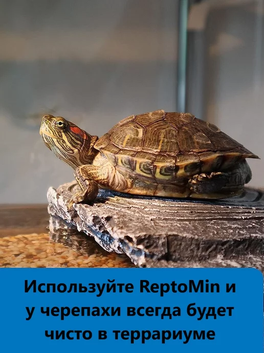 Terpa Lux Корм для красноухих водных черепах 100 гр, 100 г, фото 2
