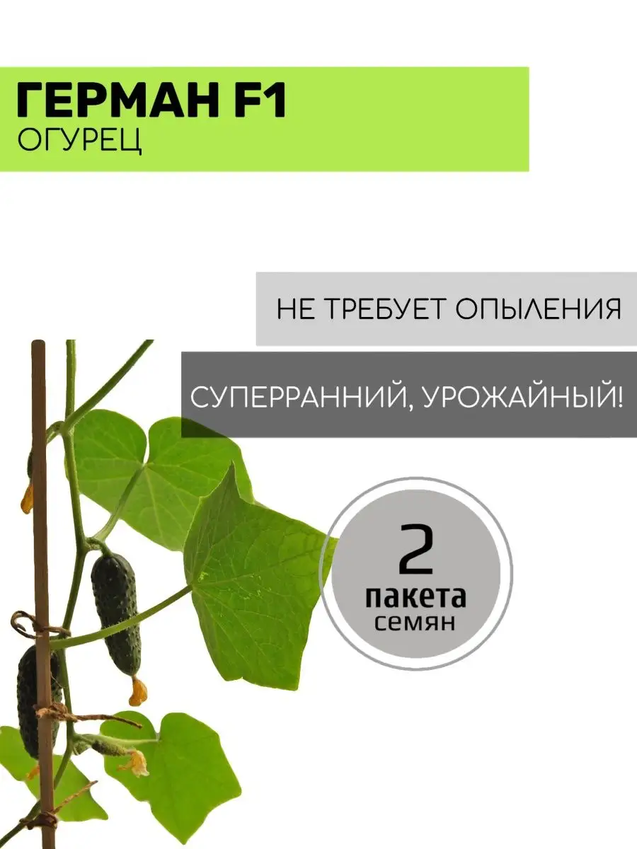 90346319
