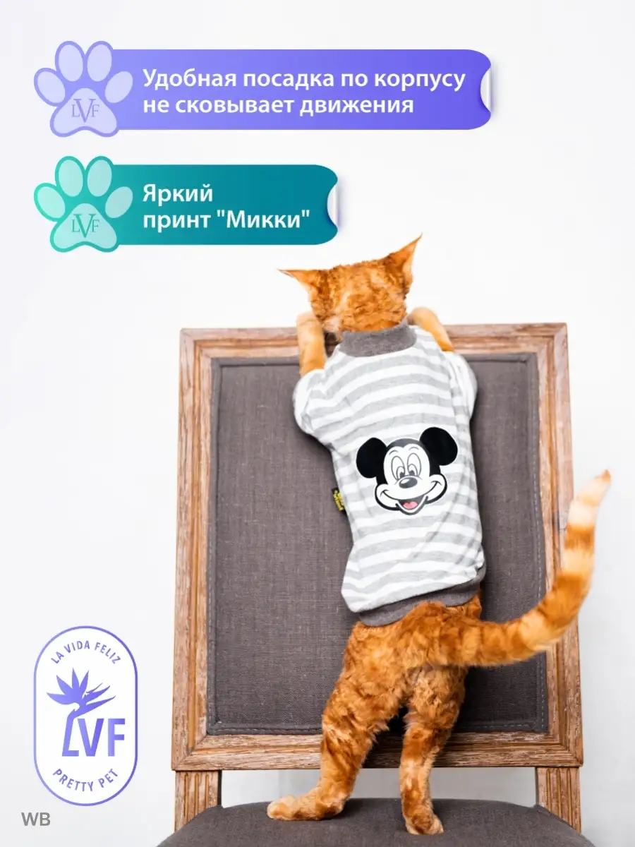 Костюм для животных майка и шорты La Vida Feliz - Pretty Pet 90355905  купить в интернет-магазине Wildberries