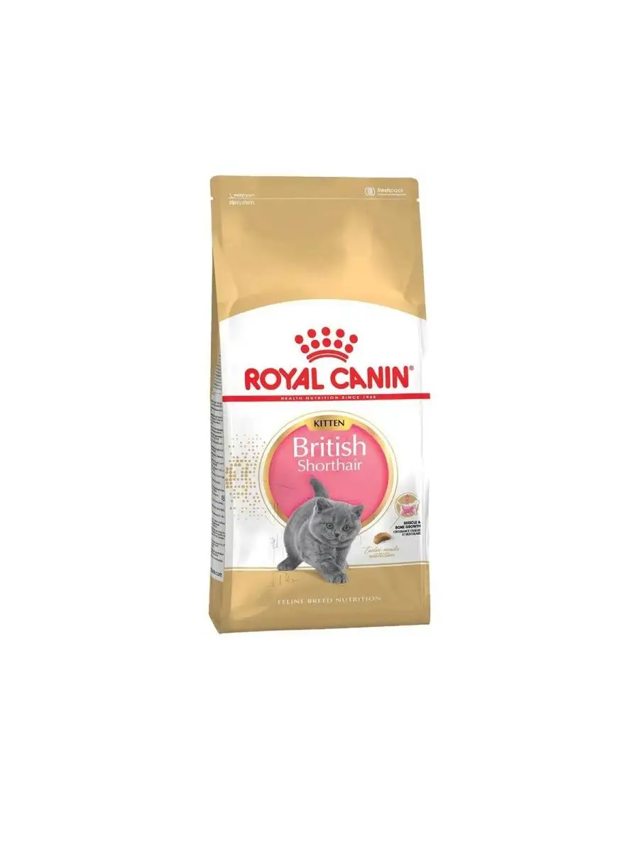 Royal Canin Maine Coon 2 Кг Купить
