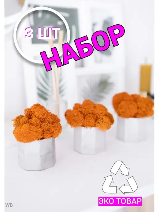 STABFLORA Кашпо с мхом 3шт ягель зеленый оранжевый