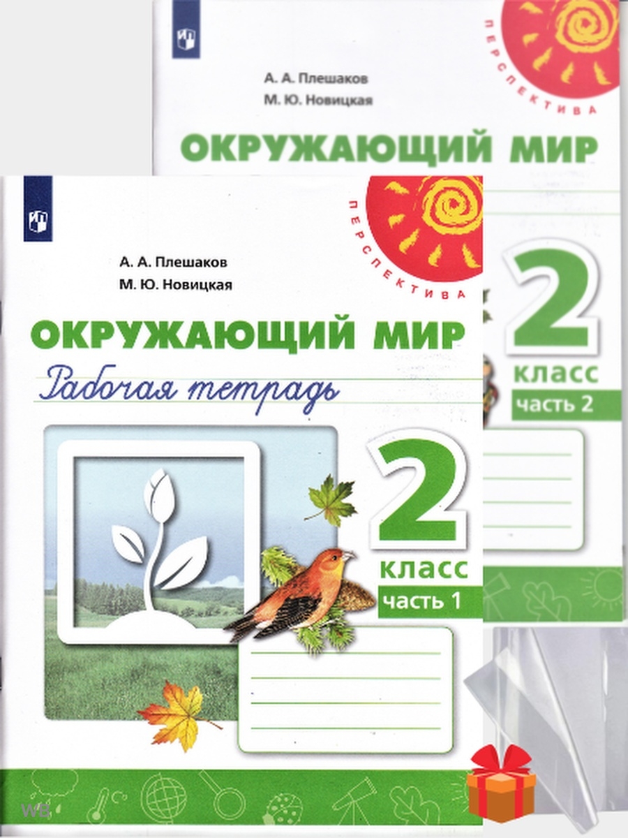 Окружающий мир 2 класс рабочая тетрадь Плешаков. Окружающий мир Плешаков Просвещение. Окружающий мир Плешаков Просвещение проверочные работы 2 класс.