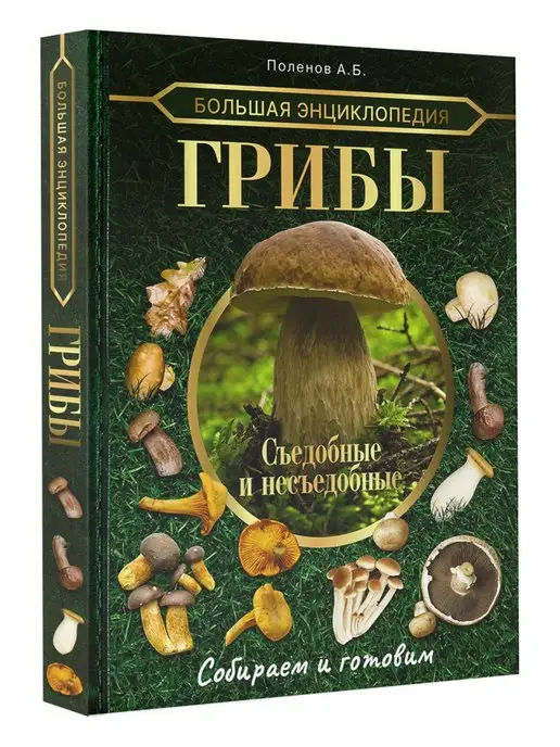 Издательство АСТ Большая энциклопедия. Грибы. Съедобные и несъедобные