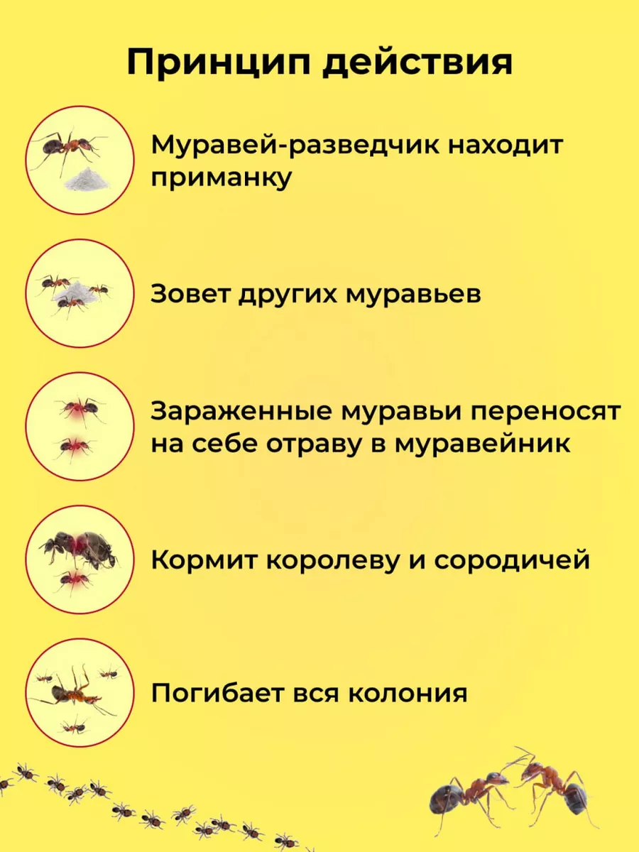 Средство от тараканов 100г Тиурам от тараканов и грызунов 90854382 купить  за 453 ₽ в интернет-магазине Wildberries