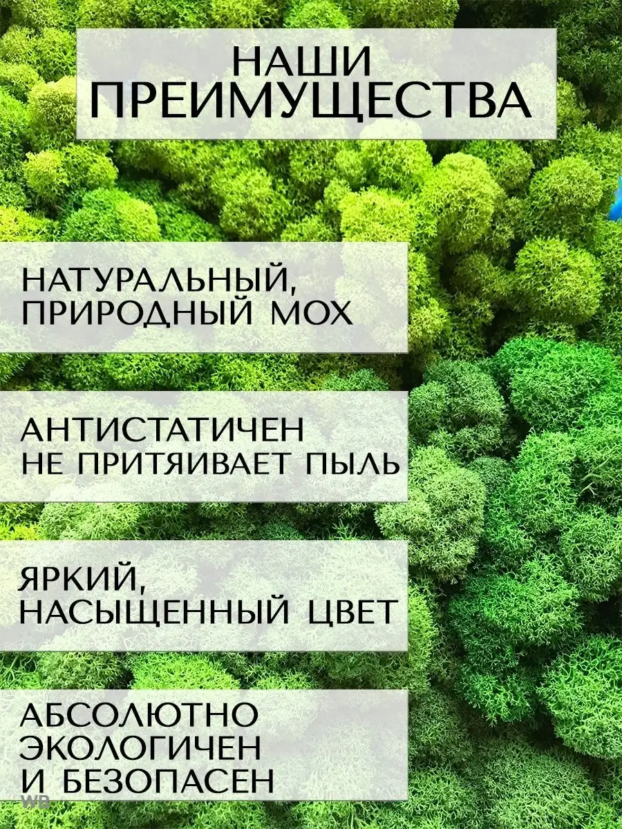 Мох стабилизированный ягель для декора, дизайна, озеленения Планета  Флористики 91050749 купить за 349 ₽ в интернет-магазине Wildberries