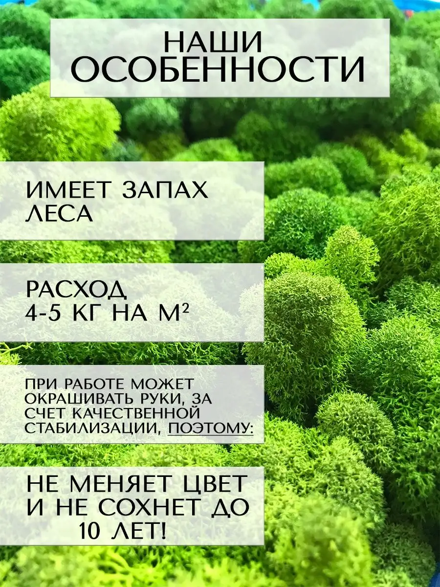 Мох стабилизированный ягель для декора, дизайна, озеленения Планета  Флористики 91050749 купить за 349 ₽ в интернет-магазине Wildberries