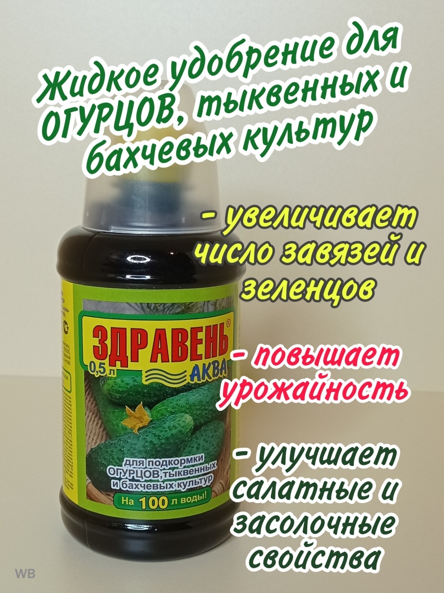 Подкормка здравень для огурцов. Здравень Аква жидкий для рассады. Здравень для огурцов. Здравень для подкормки огурцов. Удобрение Здравень Аква, клубника, 0,5 л.