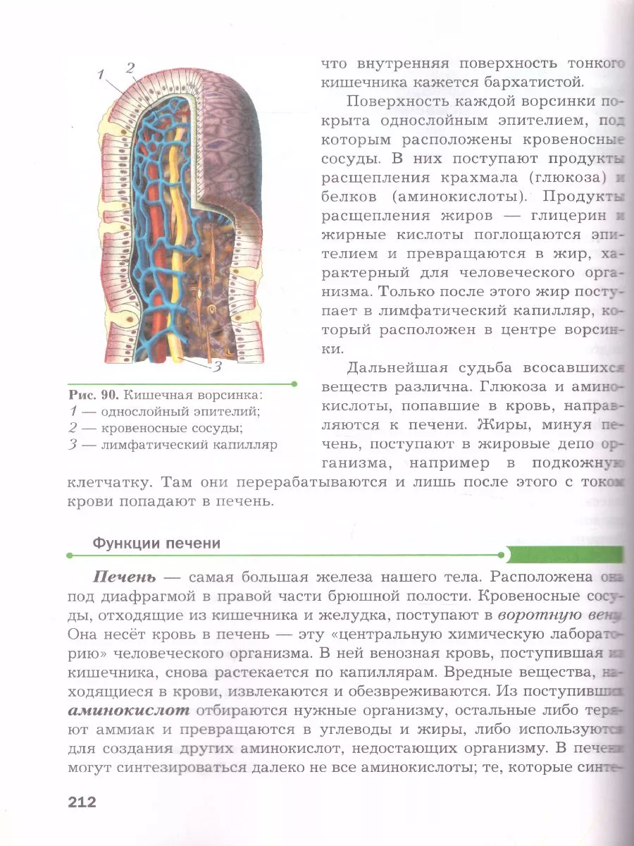 Драгомилов. Биология 9 класс. Учебник Вентана-Граф 91160153 купить за 440 ₽  в интернет-магазине Wildberries