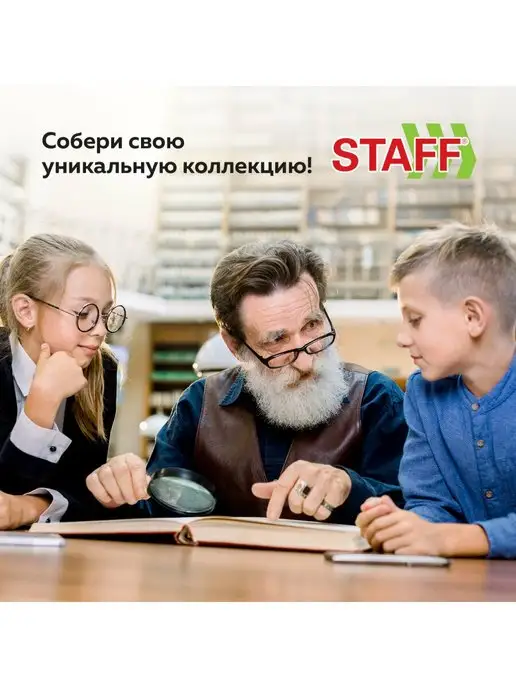 STAFF Альбом для коллекционирования монет, вариант, фото 4