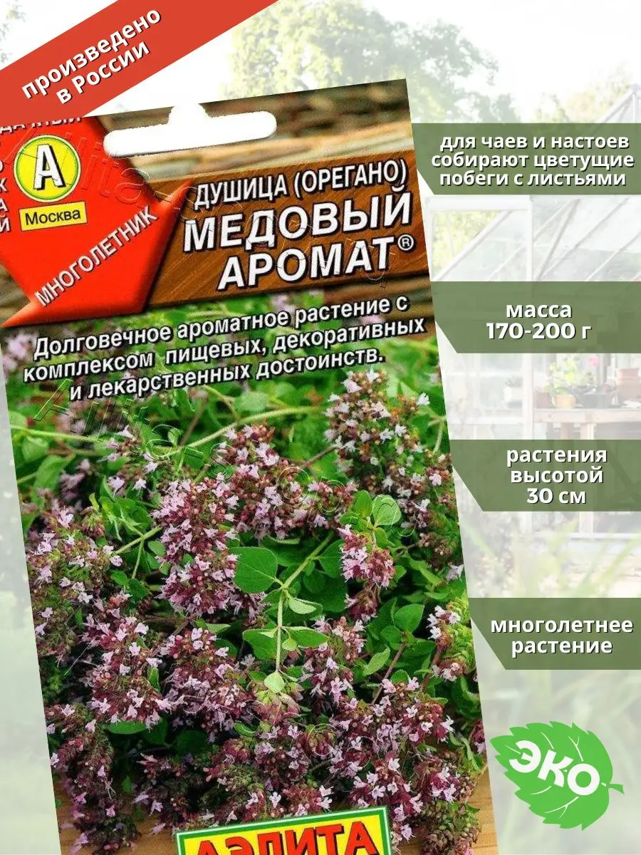 Душица обыкновенная Медовый аромат