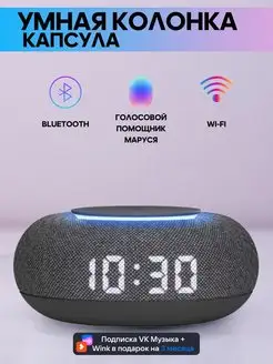 Умная колонка VK капсула мини Маруся Electro Planet 91222782 купить за 4 458 ₽ в интернет-магазине Wildberries
