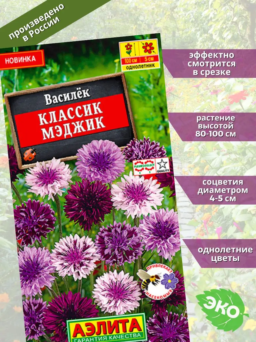 Василек Классик Мэджик