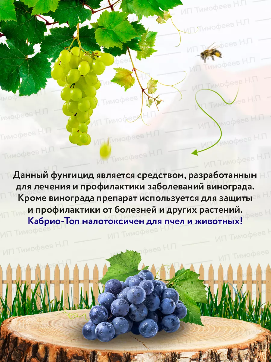 Кабрио Топ Фунгицид 20г - 5шт ГРИНТИМ 91506228 купить за 487 ₽ в  интернет-магазине Wildberries