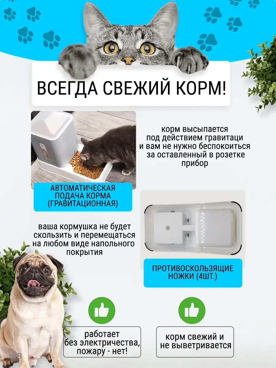 Автоматические кормушки для кошек в Киеве, Украине
