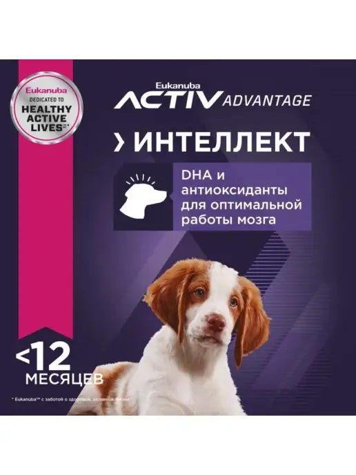 Сухой корм Eukanuba Птица для собак, средние, щенки, 0,8 кг, фото 3