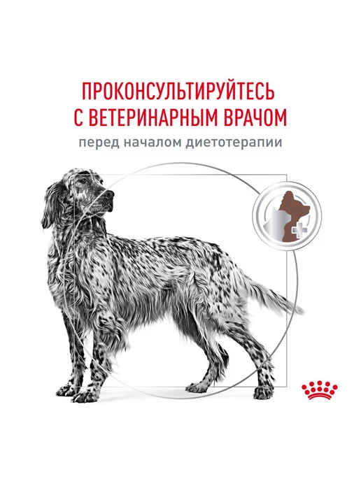 Сухой корм Royal canin Заболевание Печени для собак, взрослые, пожилые, 6 кг, фото 2