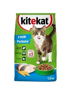 Корм для взрослых кошек, рыба 1,9кг Kitekat 91648639 купить за 411 ₽ в интернет‑магазине Wildberries