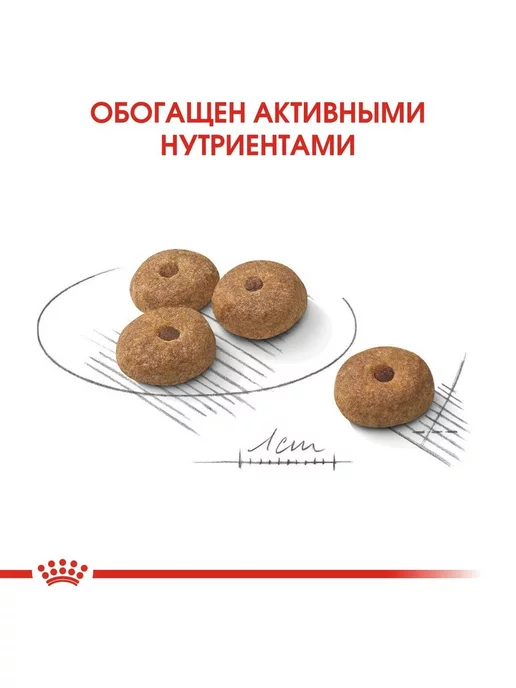 Сухой корм Royal canin Малых для собак, взрослые, стерилизованные, 3 кг, фото 3