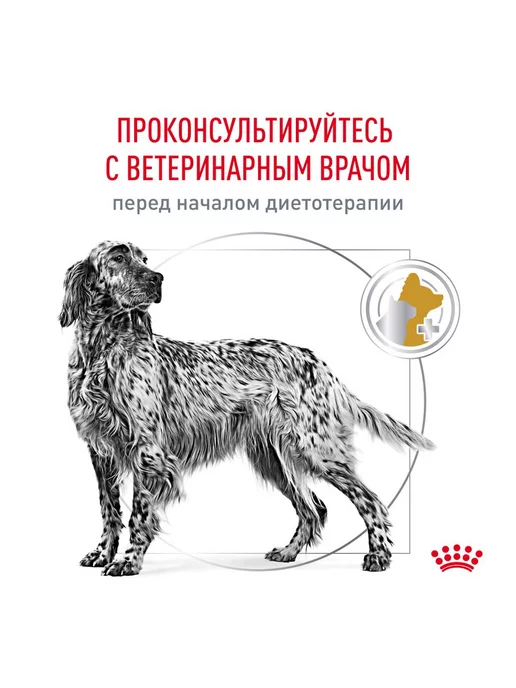Сухой корм Royal canin При Мкб для собак, взрослые, пожилые, 13 кг, фото 2