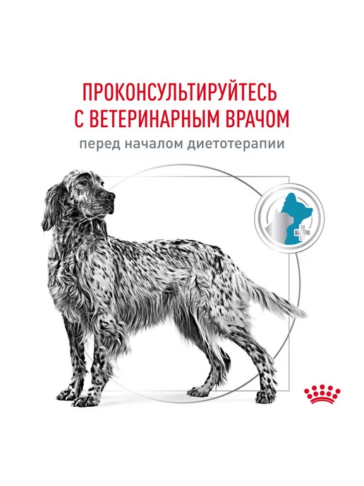 Сухой корм Royal canin При Пищевой для собак, крупные, средние, 14 кг, фото 2