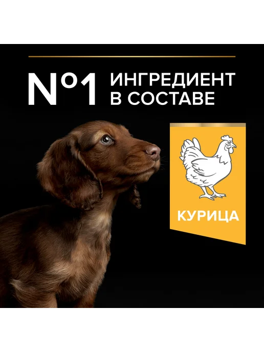 Сухой корм PRO PLAN Малых Карликовых для собак, щенки, курица, 3 кг, фото 8
