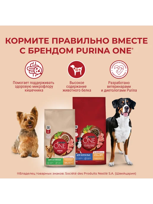 Сухой корм PURINA ONE Малых Контроль для собак, индейка, 1,5 кг, фото 6