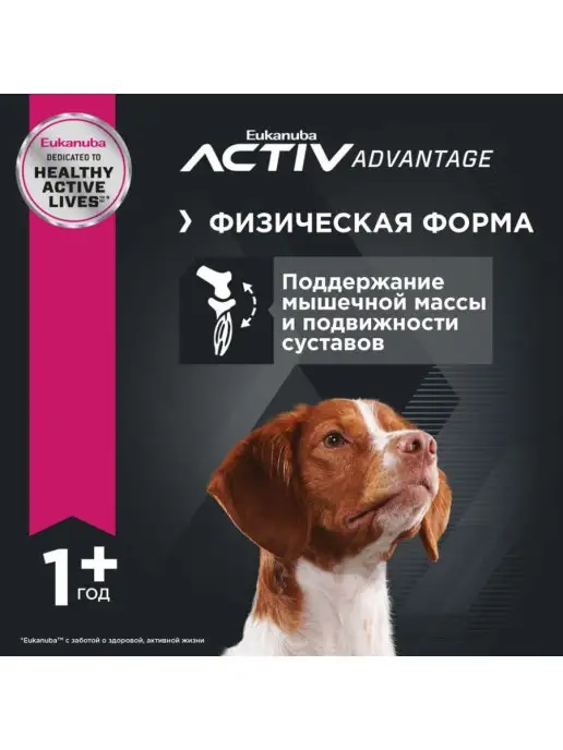 Сухой корм Eukanuba Птица для собак, взрослые, средние, 3 кг, фото 3