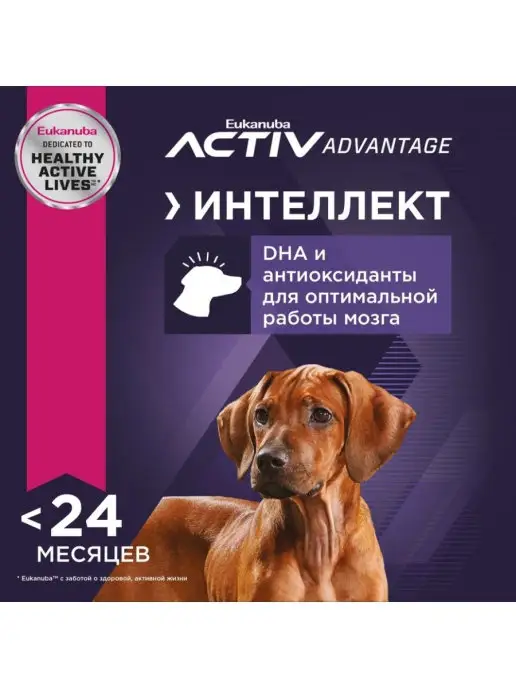 Сухой корм Eukanuba Птица для собак, крупные, щенки, 15 кг, фото 3