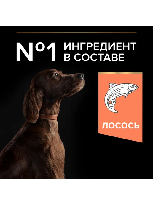 Сухой корм PRO PLAN Атлетичных Проблемы для собак, крупные, лосось, 14 кг, фото 8