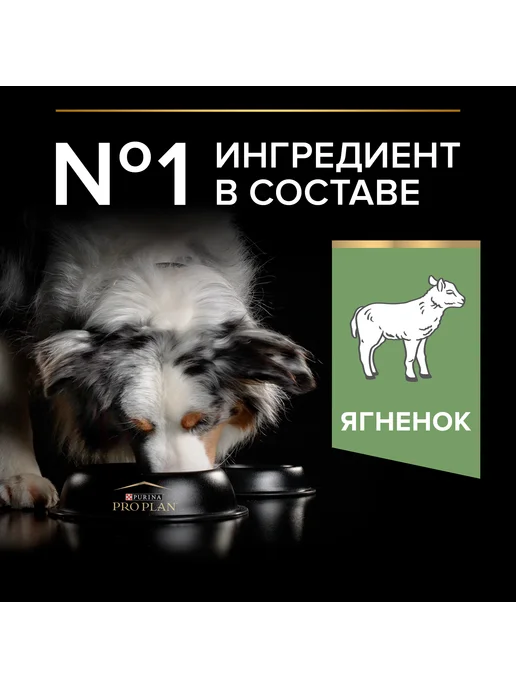 Сухой корм PRO PLAN Проблемы Жкт для собак, средние, ягненок, 3 кг, фото 8