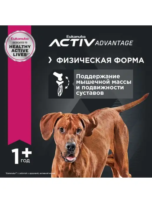 Сухой корм Eukanuba Птица для собак, взрослые, крупные, 3 кг, фото 3