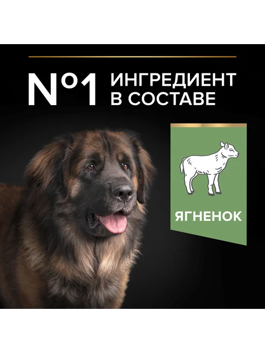 Сухой корм PRO PLAN Мощных Жкт для собак, крупные, чувствительное пищеварение, ягненок, 14 кг, фото 8