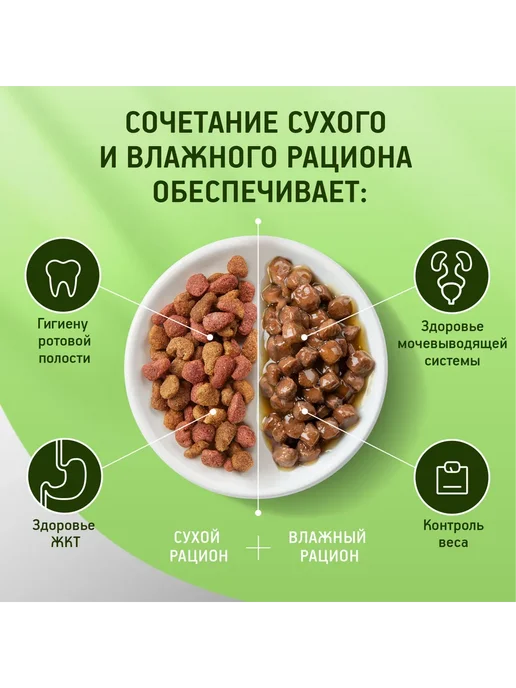 Сухой корм Kitekat Кошек Пир для собак, взрослые, мясо, 15 кг, фото 4