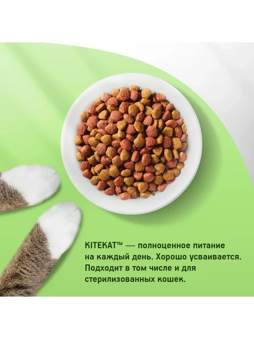 Сухой корм Kitekat Кошек Пир для собак, взрослые, мясо, 15 кг, фото 7