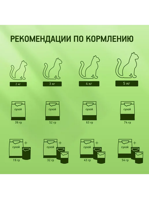 Сухой корм Kitekat Кошек Пир для собак, взрослые, мясо, 15 кг, фото 8