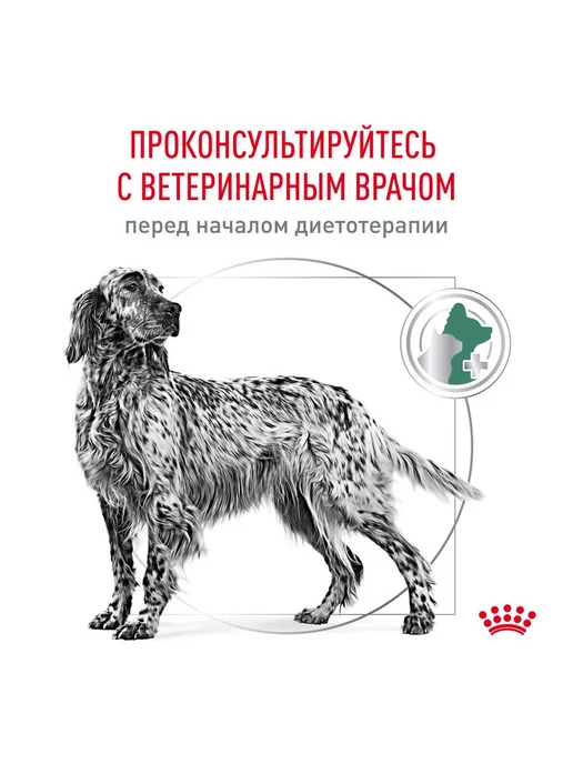 Сухой корм Royal canin При Ожирении для собак, взрослые, пожилые, 12 кг, фото 2
