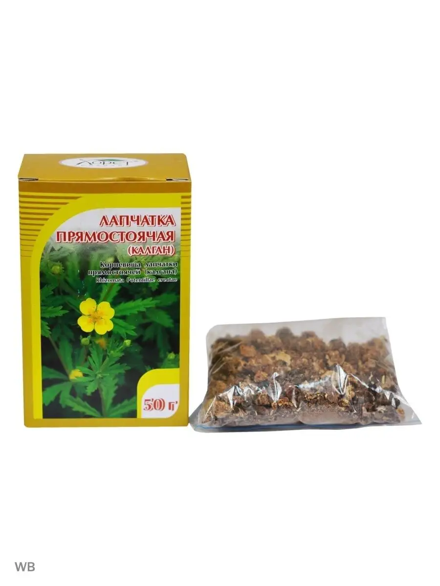 Корень Калгана Купить В Спб